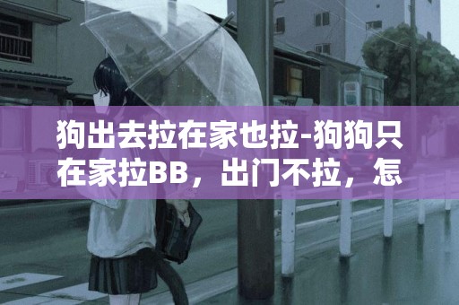 狗出去拉在家也拉-狗狗只在家拉BB，出門不拉，怎么辦？