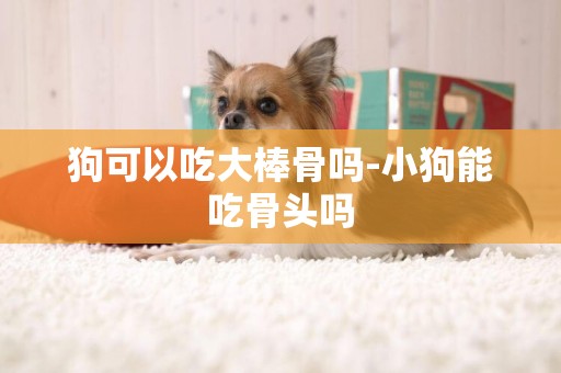 狗可以吃大棒骨嗎-小狗能吃骨頭嗎