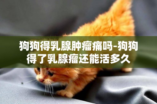 狗狗得乳腺腫瘤痛嗎-狗狗得了乳腺瘤還能活多久