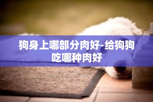 狗身上哪部分肉好-給狗狗吃哪種肉好