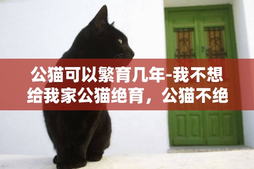 公貓可以繁育幾年-我不想給我家公貓絕育，公貓不絕育能活幾年，公貓不做絕育活多久，公貓永遠不做絕育可以