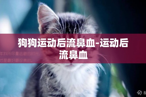 狗狗運動后流鼻血-運動后流鼻血