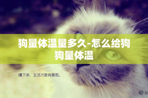 狗量體溫量多久-怎么給狗狗量體溫