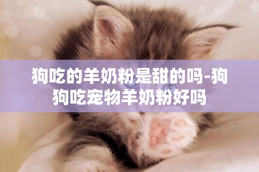 狗吃的羊奶粉是甜的嗎-狗狗吃寵物羊奶粉好嗎