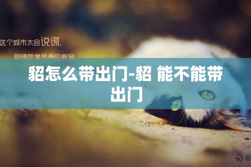 貂怎么帶出門-貂 能不能帶出門