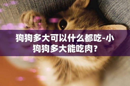 狗狗多大可以什么都吃-小狗狗多大能吃肉？
