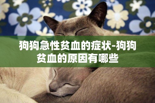 狗狗急性貧血的癥狀-狗狗貧血的原因有哪些