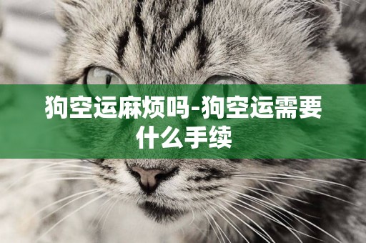 狗空運麻煩嗎-狗空運需要什么手續