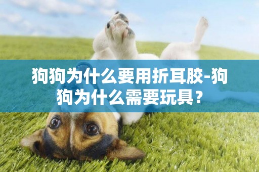 狗狗為什么要用折耳膠-狗狗為什么需要玩具？