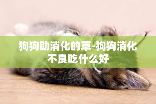狗狗助消化的草-狗狗消化不良吃什么好