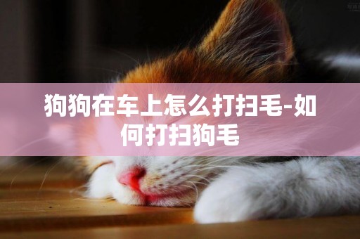 狗狗在車上怎么打掃毛-如何打掃狗毛