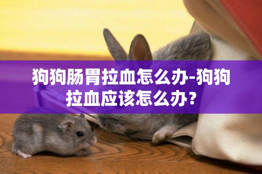 狗狗腸胃拉血怎么辦-狗狗拉血應該怎么辦？