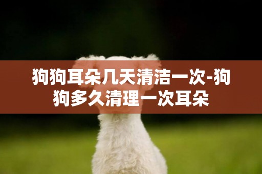 狗狗耳朵幾天清潔一次-狗狗多久清理一次耳朵