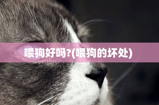 喂狗好嗎?(喂狗的壞處) 