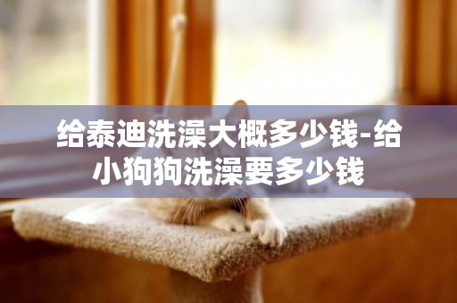 給泰迪洗澡大概多少錢-給小狗狗洗澡要多少錢
