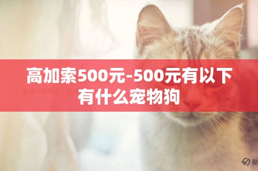 高加索500元-500元有以下有什么寵物狗
