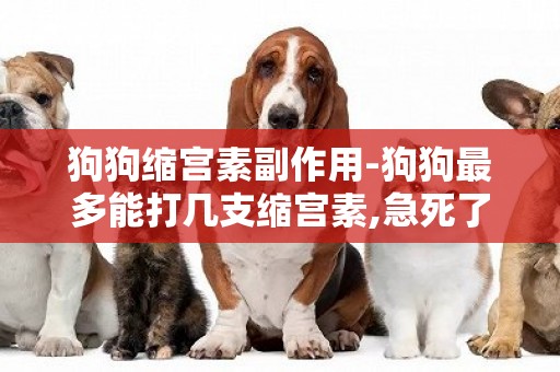 狗狗縮宮素副作用-狗狗最多能打幾支縮宮素,急死了 生了3個 肚子里還有,他就是生不出來