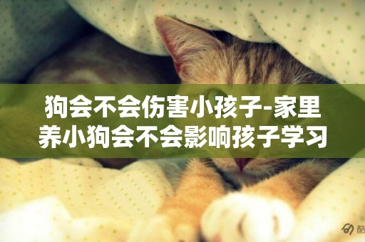 狗會不會傷害小孩子-家里養小狗會不會影響孩子學習。
