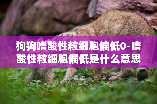 狗狗嗜酸性粒細胞偏低0-嗜酸性粒細胞偏低是什么意思