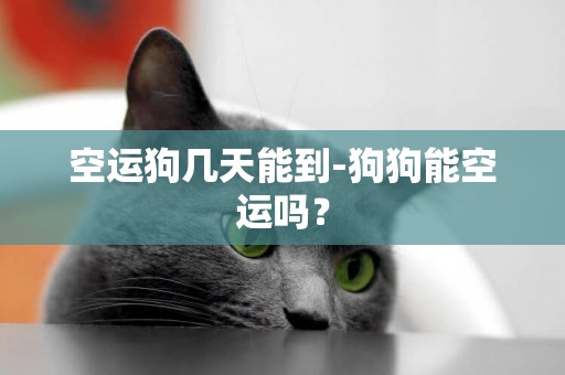 空運狗幾天能到-狗狗能空運嗎？