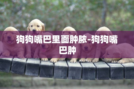 狗狗嘴巴里面腫膿-狗狗嘴巴腫