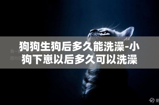 狗狗生狗后多久能洗澡-小狗下崽以后多久可以洗澡