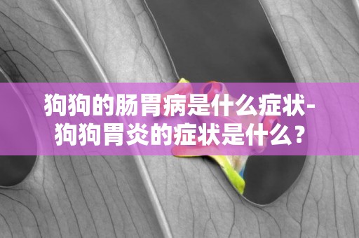 狗狗的腸胃病是什么癥狀-狗狗胃炎的癥狀是什么？