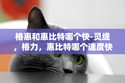 格惠和惠比特哪個快-靈緹，格力，惠比特哪個速度快