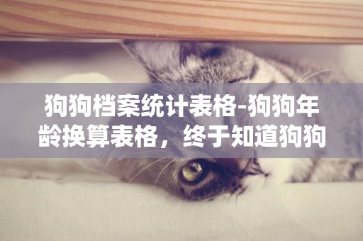 狗狗檔案統計表格-狗狗年齡換算表格，終于知道狗狗多大了