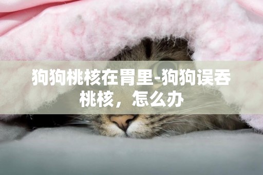狗狗桃核在胃里-狗狗誤吞桃核，怎么辦