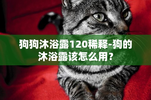狗狗沐浴露120稀釋-狗的沐浴露該怎么用？