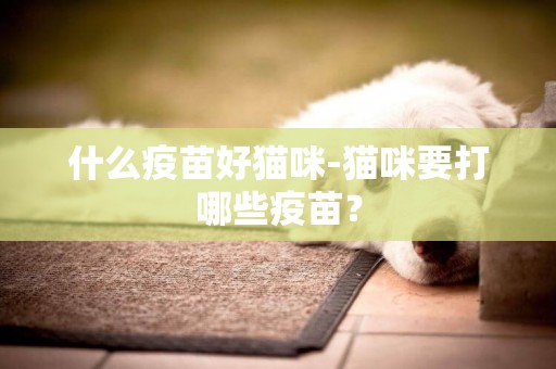 什么疫苗好貓咪-貓咪要打哪些疫苗？