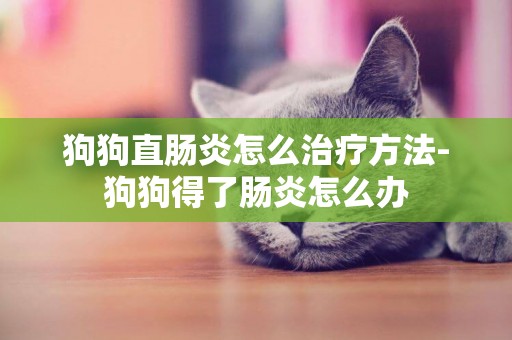 狗狗直腸炎怎么治療方法-狗狗得了腸炎怎么辦
