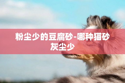 粉塵少的豆腐砂-哪種貓砂灰塵少