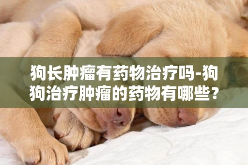 狗長腫瘤有藥物治療嗎-狗狗治療腫瘤的藥物有哪些？