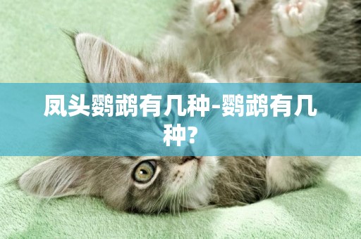 鳳頭鸚鵡有幾種-鸚鵡有幾種?