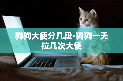狗狗大便分幾段-狗狗一天拉幾次大便