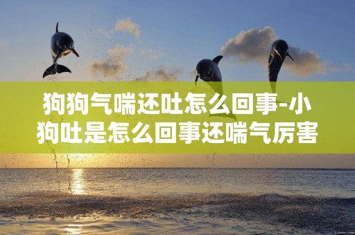 狗狗氣喘還吐怎么回事-小狗吐是怎么回事還喘氣厲害