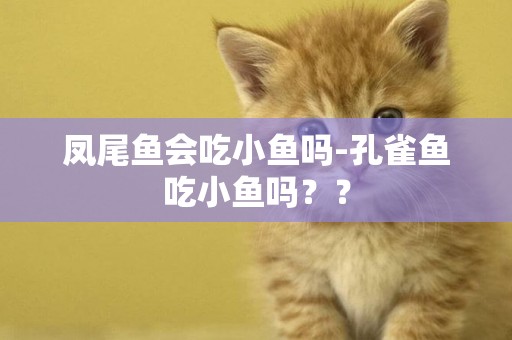 鳳尾魚會吃小魚嗎-孔雀魚吃小魚嗎？？