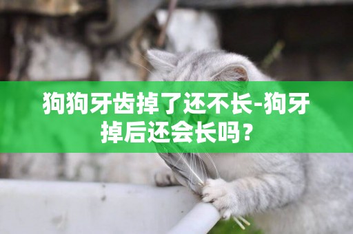 狗狗牙齒掉了還不長-狗牙掉后還會長嗎？