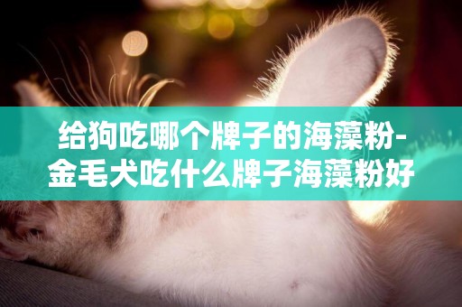 給狗吃哪個牌子的海藻粉-金毛犬吃什么牌子海藻粉好