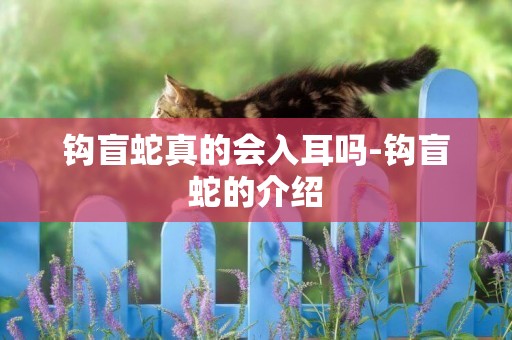 鉤盲蛇真的會入耳嗎-鉤盲蛇的介紹