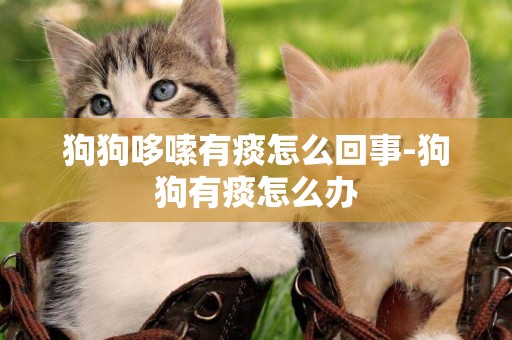 狗狗哆嗦有痰怎么回事-狗狗有痰怎么辦