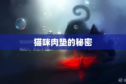 貓咪肉墊的秘密