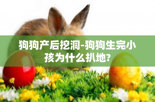 狗狗產后挖洞-狗狗生完小孩為什么扒地?