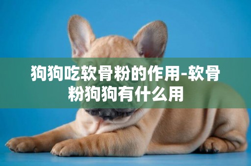 狗狗吃軟骨粉的作用-軟骨粉狗狗有什么用