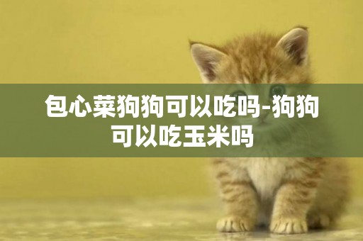 包心菜狗狗可以吃嗎-狗狗可以吃玉米嗎
