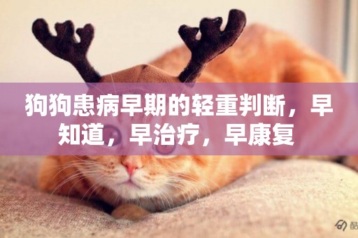 狗狗患病早期的輕重判斷，早知道，早治療，早康復 