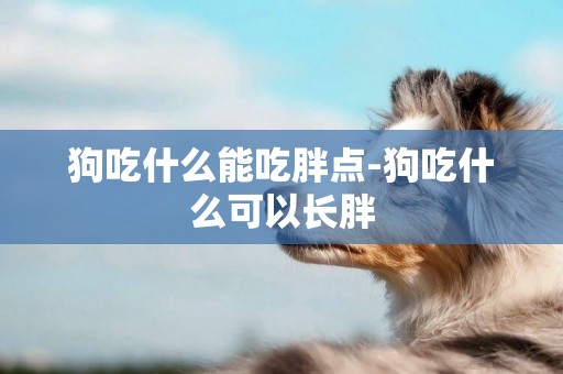 狗吃什么能吃胖點-狗吃什么可以長胖