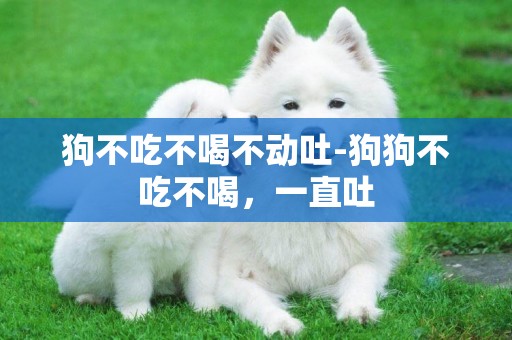 狗不吃不喝不動吐-狗狗不吃不喝，一直吐